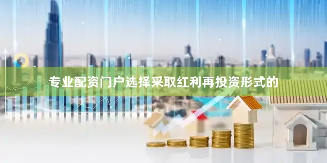 专业配资门户选择采取红利再投资形式的