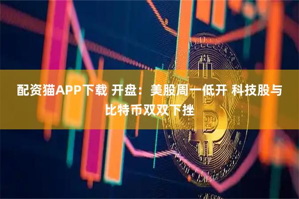 配资猫APP下载 开盘:美股周一低开 科技股与比特币双双下挫