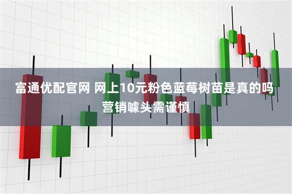 富通优配官网 网上10元粉色蓝莓树苗是真的吗 营销噱头需谨慎