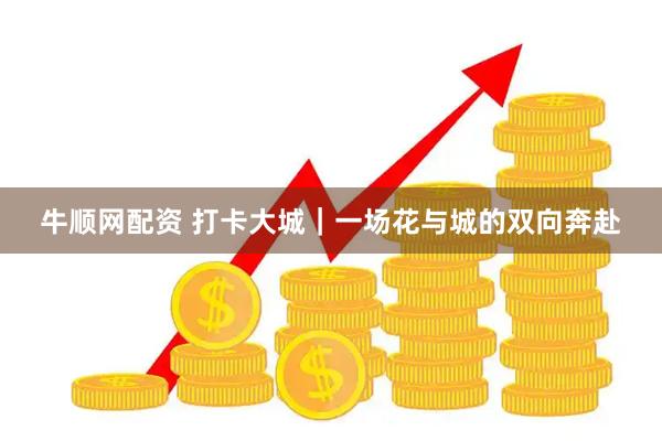 牛顺网配资 打卡大城｜一场花与城的双向奔赴