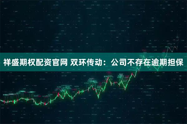 祥盛期权配资官网 双环传动:公司不存在逾期担保