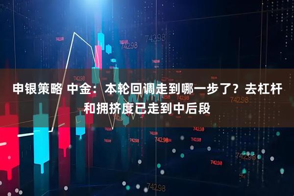 申银策略 中金：本轮回调走到哪一步了？去杠杆和拥挤度已走到中后段