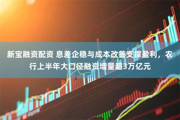 新宝融资配资 息差企稳与成本改善支撑盈利，农行上半年大口径融资增量超3万亿元